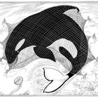Illustration eines Orcas in einem Netz, gehalten von kleinen Wesen im Meer. Darunter sind Muscheln und Pflanzen zu sehen.
