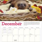 "December 2026" und Kalendertext. Ein Faultier liegt in einem Weidenkorb. Hintergrund mit gelb-roten Blüten.