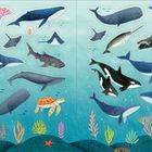 Illustration von Meerestieren: Wale, Schildkröte und Fische in einem blauen, meerähnlichen Hintergrund mit bunten Korallen.