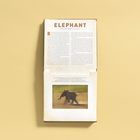 Text: "Elephant" über einem Infotext. Unter dem Text ein Bild eines laufenden Elefanten auf staubigem Boden.