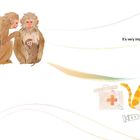 "All animals need regular care..." und "...to treat an animal well." Gemalte Affen, Otter, Katze mit Kind und Arztkoffer.