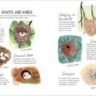 Eine Illustration beschreibt verschiedene Nestarten: Cups, Ground Nests, Burrows, Hanging Pendants, Domed, Scrapes.