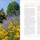 Seite 29. Links gelber Text: "Black-Eyed Susans... eroded areas." Rechts roter Text: "Next Steps—Building a Healthier Soil Profile."

Linke Seite zeigt bunte Blumen wie gelbe Sonnenhüte vor Bäumen; rechte Seite enthält Text über Bodengesundheit.