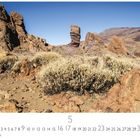 "Siete Cañadas," darunter der Monat Mai mit Kalenderdaten. Landschaft mit zerklüfteten Felsen und trockenem Gestrüpp.