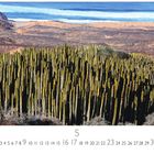 "Euphorbia canariensis", "CASARES EDITION", May calendar. Vordergrund: grüne, kakteenartige Pflanzen; Hintergrund: Küste und Meer.