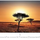 Text: "Sunset in der Savanne", Zahlen von 1 bis 31. Szene: Sonnenuntergang in der afrikanischen Savanne mit Akazienbäumen.