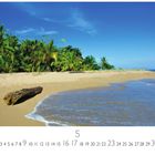 Text: "Martinique", "CASARES EDITION", Zahlen und "5". Strand mit Palmen, blauem Himmel und Meereswellen.