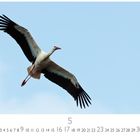 Zahlen von 1 bis 31 sind aufgereiht, darunter steht "CASARES EDITION". Ein Storch fliegt am blauen Himmel.