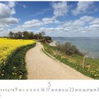 "Jütland" steht unten links. Ein Feld mit gelben Blumen, ein Weg führt zum Meer. Häuser und Bäume im Hintergrund.