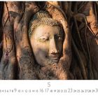 Zahlen 1 bis 31 unten, große 5 in der Mitte. Ein Buddha-Kopf umschlungen von Baumwurzeln.