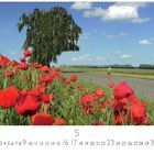 "Landschaft bei Groß Schoritz" steht links unten. Mohnblumen blühen neben einer Landstraße, ein Baum im Hintergrund.