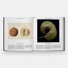 Links: "RADHEN SALIKIN" über einer Durian-Abbildung. Rechts: "ALBERT LEAL MOYA" über einer gekrümmten grünen Pflanze.