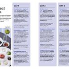 "Perfect Days" beschreibt einen dreitägigen Reiseplan in Seoul mit Sehenswürdigkeiten, Essen und Aktivitäten.