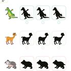 "Welcher Schatten passt? Kreuze an." Oben Drache, Mitte Lama, unten Wombat, links Originale, rechts passende Silhouetten.