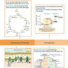 "Bei der aeroben Zellatmung sowie bei der Gärung findet zunächst die Glykolyse statt. Im Citratzyklus wird die Energie..."  