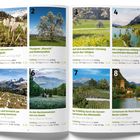 1. Zu den Krokuswiesen des Sertigtals  
Frühling, mittel, 10.2 km, 3 Std. 30 Min.  
2. Thurgauer „Bluescht“ und Bodenseeblick  
Frühling, niedrig, 13.3 km, 3 Std. 30 Min.  
3. Baselbieter Chirsweg  
Frühling, niedrig, 10.7 km, 3 Std. 30 Min.  
4. Lungernsee und Wasserfall  
Frühling, niedrig, 10.9 km, 3 Std. 30 Min.  
5. Gantrisch Panoramaweg  
Frühling, hoch, 21 km, 8 Std. 30 Min.  
6. Narzissenwiesen Les Avants  
Frühling, niedrig, 5.6 km, 3 Std.  
7. Sonnen-terrassen Wallis  
Frühling, mittel, 15.6 km, 5 Std. 30 Min.  
8. Monte Caslano  
Frühling, mittel, 9.4 km, 3 Std. 30 Min.