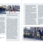 „Info: Ein Pferd kann nur aufmuskeln, wenn es angst- und schmerzfrei ist.“ Links Pferd mit Person, rechts Reiter.