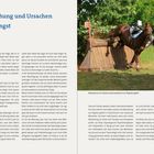 1.0 Entstehung und Ursachen von Reitangst

Niemand ist vor Stürzen und niemand ist vor Ängsten gefeit.

Text über Reitangst. Bild: Reiter stürzt beim Pferdesprung.