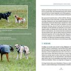 KÖRPERSPRACHE VERSTEHEN: 5 WICHTIGE MERKMALE

Links Rute oben, rechts Rute auf Höhe der Rückenlinie.

Links Rute auf Höhe der Rückenlinie, rechts Rute deutlich unterhalb der Rückenlinie.

3. Merkmal

Text beschreibt die Wichtigkeit der Schwanzrichtung und Blickrichtung bei Hunden.