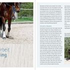 "Die Feinarbeit im Training" ist zentral platziert. Links reitet eine Person ein Pferd in einem Sandbereich. Rechts sitzt eine Person auf einem Pferd vor Bäumen.