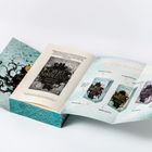 Gefaltetes Werbematerial für Bücher mit Texten wie "Cruel Noblesse", "Vision der Schatten", und Kategorien wie "Enemies to Lovers".