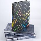 Buchcover mit schillernden Drachenschuppen. Titel unleserlich. Vier Bücher gestapelt, silbergraue Einbände.