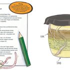 Text: "Aus Abfall wird Humus Mach mit!" Daneben Illustration eines Glases mit Schichten aus Erde, Sand, Biomüll und Regenwürmern.