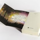 Text über ein mutiges Waisenmädchen namens Pearl. Tropenillustration mit Bäumen und ein Logo unten auf der Seite.