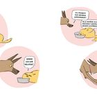 Zwei Tiere kommunizieren: Ein Hund bietet einer Katze Wasser an. Die Katze meint, Gefäße seien ihre Verantwortung.