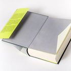 Grüner Einband mit Klappentext: Schriftsteller, Förderer der Künste. Großes, dickes Buch, leicht geöffnet.