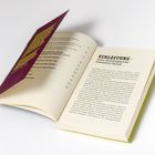 Der Text auf der Seite lautet: EINLEITUNG - Keine Gerechtigkeit bei männlicher Gewalt. Eine aufgeschlagene Buchseite.