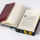 Das Buch ist offen. Links: Ein roter Klappentext, rechts: Eine Seite mit Kapitelüberschrift "I" und einer Zeichnung eines Drachenkopfes.