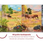 Mit großer Ausklappseite, Häschen im Frühling, Wildschweine im Sommer, Hirsche im Herbst, Bären im Winter.