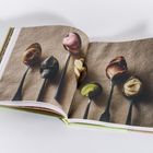 Ein geöffneter Bildband zeigt Löffel mit buntem Eis auf einer neutralen Leinwand.