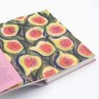 Buchillustration mit figurenartigen, bunten Formen; Rosa, Grün, Rot und Schwarz dominieren. Text links auf rosa Hintergrund.