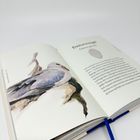 Text: "Eissturmvogel Fulmarus glacialis". Illustration eines Vogels mit weißem Kopf und grauen Flügeln. Buch ist aufgeschlagen.