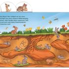 Tiefe im Wald bei den Wildschweinen und Rehen. Tiere wie Ferkel und Rehkitze in einem grünen Wald mit Bäumen.