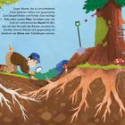 Spannendes Baum-Wissen: Wissenswertes über Bäume weltweit, ihre Verbreitung und Bedeutung in der Natur, mit Naturfotos.