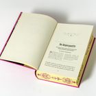 "Die Wispergazette" ist der Titel oben auf der aufgeschlagenen Buchseite. Das Buch hat einen pinken Einband.