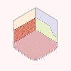 Eine Illustration mit buntem Raum: braune Backsteinwand, lila und grün Wand, rosa Fliesenboden, sechseckige Form.
