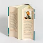 Buchcover zeigt Klappentext: Lob für Erzählkunst. Info über Elizabeth Strout, geboren 1956 in Maine. Erwähnung von Sabine Roth.