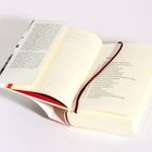 Offenes Buch mit Inhalsverzeichnis: "INHALT", Kapitelnummern und Titeln. Rotes Leseband, weißer Hintergrund.