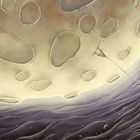 Ein Mann steht auf einem Felsen, hält eine Angel, die zum Mond hin zeigt. Rundum ist der Weltraum mit Sternen.