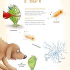"Mut", "Äußere Erkennungsmerkmale", "Inneres Bild", "Mut, sich seiner Angst zu stellen". Illustration eines Monsters und Hundes.