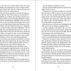 Zweiseitiger Text auf den Seiten 12 und 13. Diskutiert Vorlesungen, Charisma und zwischenmenschliche Begegnungen.