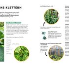 "LASS UNS KLETTERN" oben. Links Pflanzen mit gelben Blüten; rechts kreisförmige Fotos von Kletterhilfen.