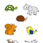 "Rechts oder links?" Tiere: Schildkröte, Elefant, Igel, Eichhörnchen, Vogel, Schaf, Katze. Illustrationen in Farben.