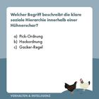 Text: "Welcher Begriff beschreibt die klare soziale Hierarchie innerhalb einer Hühnerschar?"
Optionen: a) Pick-Ordnung, b) Hackordnung, c) Gacker-Regel. Unten links: "VERHALTEN & INTELLIGENZ". Rechts unten sind zwei gezeichnete Hühner.
