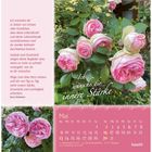 Text: "Ich wünsche dir innere Stärke." Kalenderseite für Mai mit Rosen in voller Blüte, Zitat von Doro Zachmann.