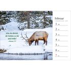 Text: "Wen da dürstet, der komme zu mir und trinke! Johannes 7,37." Ein Elch trinkt aus einem Fluss, umgeben von Schnee.